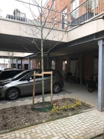 Benb Op De Trans, Arnhem Op Zijn Best! Kültér fotó